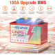 Акумулятор для ДБЖ DeeSpaek LiFePO4 Battery 12V 100Ah