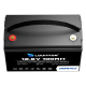 Акумулятор для ДБЖ/інвертора Louitton LiFePO4 12V/100AH