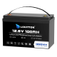 Акумулятор для ДБЖ/інвертора Louitton LiFePO4 12V/100AH
