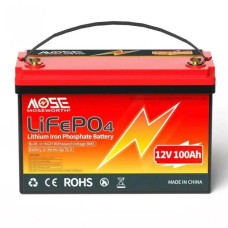 Акумулятор для ДБЖ/інвертора MOSEWORTH LiFePO4 12V 100Ah