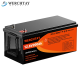Акумулятор LiFePO4 WERCHTAY 12.8V 200Ah